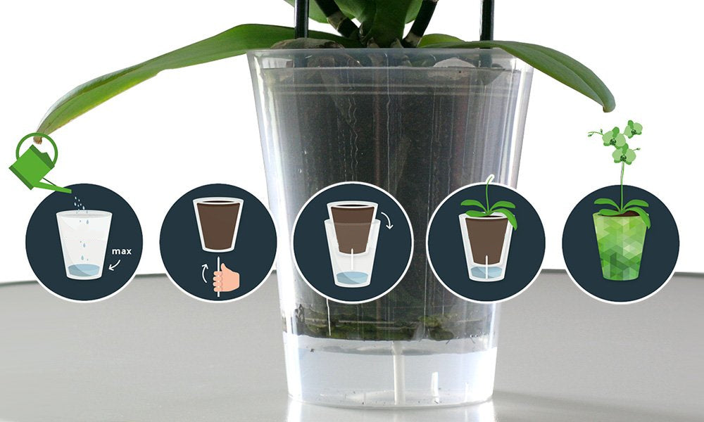 Watergeefconcepten