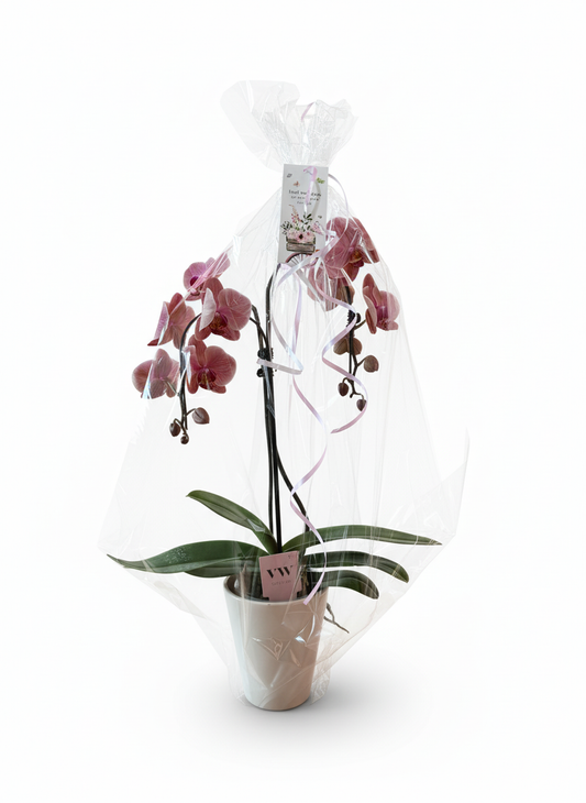 Maak jouw cadeau compleet