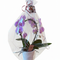 ORCHIDEE CADEAUPRODUCT