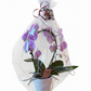 ORCHIDEE CADEAUPRODUCT