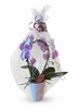 ORCHIDEE CADEAUPRODUCT