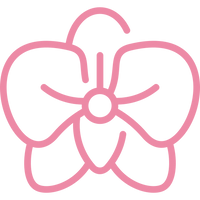 Ontdek onze orchideeën