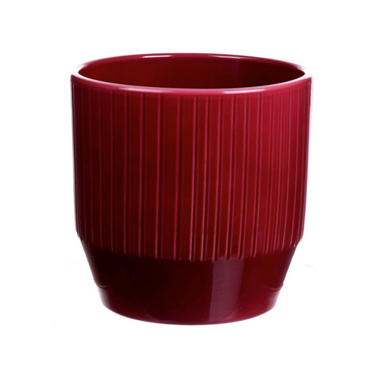Pisa red