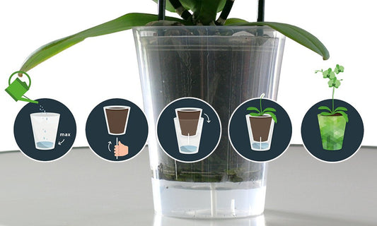 Uniek watergeefsysteem